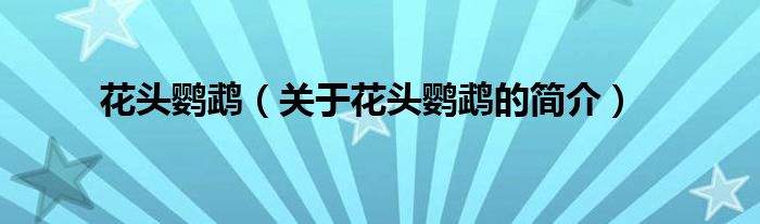 花頭鸚鵡（關(guān)于花頭鸚鵡的簡(jiǎn)介）