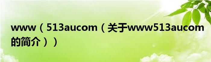 www（513aucom（關(guān)于www513aucom的簡(jiǎn)介））