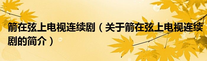 箭在弦上電視連續(xù)?。P(guān)于箭在弦上電視連續(xù)劇的簡介）