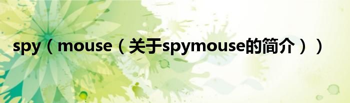 spy（mouse（關(guān)于spymouse的簡(jiǎn)介））