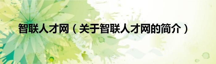 智聯(lián)人才網(wǎng)（關(guān)于智聯(lián)人才網(wǎng)的簡介）