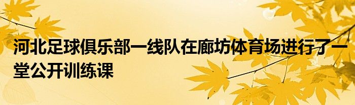 河北足球俱樂部一線隊在廊坊體育場進行了一堂公開訓(xùn)練課