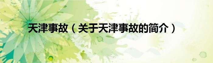 天津事故（關(guān)于天津事故的簡(jiǎn)介）