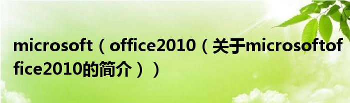 microsoft（office2010（關(guān)于microsoftoffice2010的簡介））