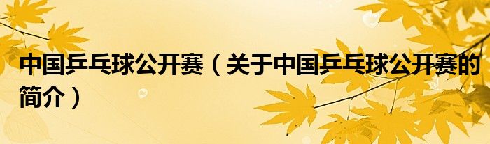 中國乒乓球公開賽（關(guān)于中國乒乓球公開賽的簡(jiǎn)介）