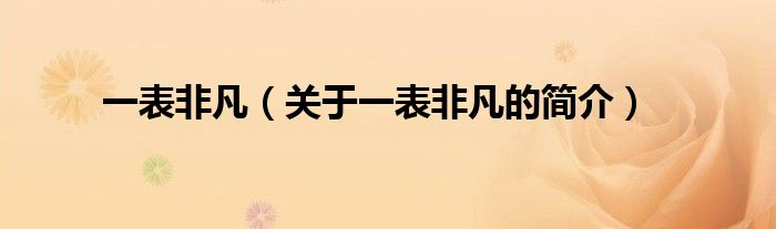 一表非凡（關(guān)于一表非凡的簡(jiǎn)介）