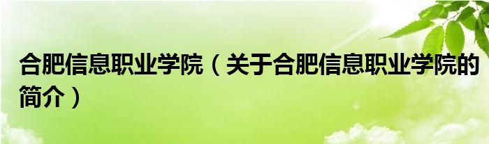 合肥信息職業(yè)學院（關于合肥信息職業(yè)學院的簡介）