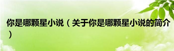 你是哪顆星小說(shuō)（關(guān)于你是哪顆星小說(shuō)的簡(jiǎn)介）