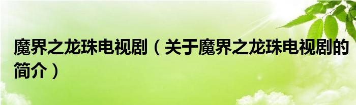 魔界之龍珠電視劇（關(guān)于魔界之龍珠電視劇的簡介）