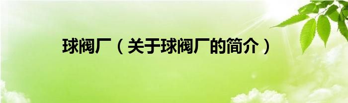 球閥廠（關(guān)于球閥廠的簡介）