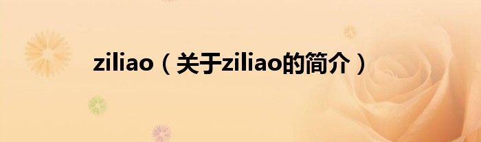 ziliao（關(guān)于ziliao的簡介）