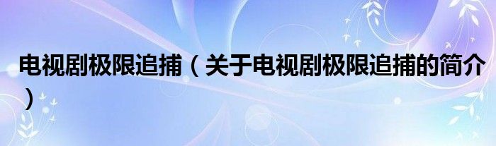 電視劇極限追捕（關于電視劇極限追捕的簡介）