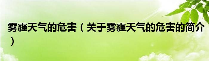 霧霾天氣的危害（關(guān)于霧霾天氣的危害的簡介）