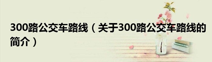 300路公交車路線（關(guān)于300路公交車路線的簡介）