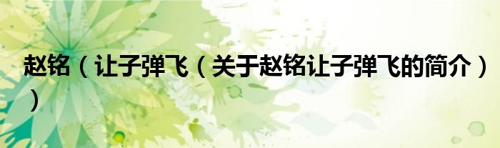 趙銘（讓子彈飛（關(guān)于趙銘讓子彈飛的簡(jiǎn)介））