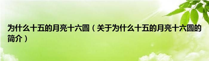 為什么十五的月亮十六圓（關于為什么十五的月亮十六圓的簡介）