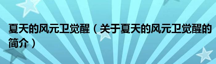 夏天的風(fēng)元衛(wèi)覺醒（關(guān)于夏天的風(fēng)元衛(wèi)覺醒的簡介）