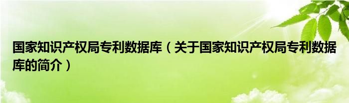 國(guó)家知識(shí)產(chǎn)權(quán)局專(zhuān)利數(shù)據(jù)庫(kù)（關(guān)于國(guó)家知識(shí)產(chǎn)權(quán)局專(zhuān)利數(shù)據(jù)庫(kù)的簡(jiǎn)介）