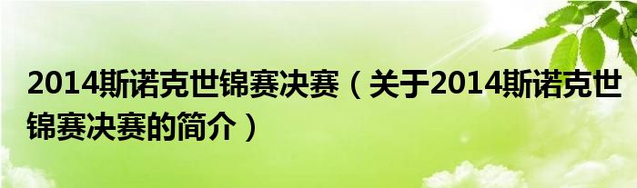 2014斯諾克世錦賽決賽（關(guān)于2014斯諾克世錦賽決賽的簡(jiǎn)介）