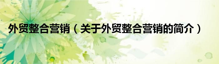 外貿(mào)整合營銷（關(guān)于外貿(mào)整合營銷的簡介）