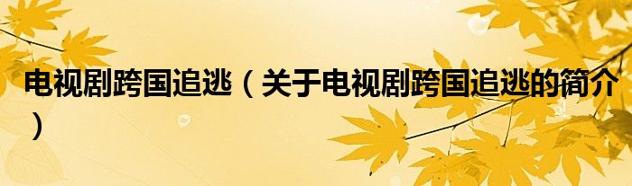 電視劇跨國(guó)追逃（關(guān)于電視劇跨國(guó)追逃的簡(jiǎn)介）