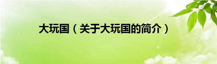 大玩國（關(guān)于大玩國的簡(jiǎn)介）