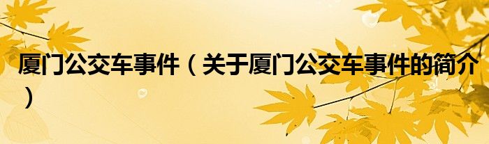 廈門公交車事件（關(guān)于廈門公交車事件的簡介）