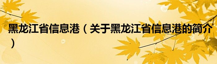 黑龍江省信息港（關(guān)于黑龍江省信息港的簡(jiǎn)介）