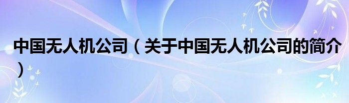 中國(guó)無(wú)人機(jī)公司（關(guān)于中國(guó)無(wú)人機(jī)公司的簡(jiǎn)介）