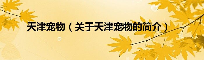 天津?qū)櫸铮P(guān)于天津?qū)櫸锏暮?jiǎn)介）