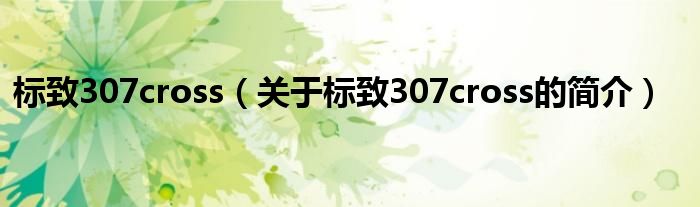 標(biāo)致307cross（關(guān)于標(biāo)致307cross的簡介）