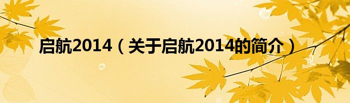 啟航2014（關(guān)于啟航2014的簡(jiǎn)介）