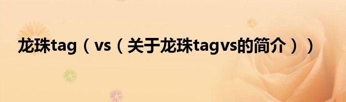 龍珠tag（vs（關(guān)于龍珠tagvs的簡(jiǎn)介））