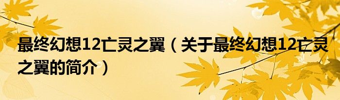 最終幻想12亡靈之翼（關(guān)于最終幻想12亡靈之翼的簡介）