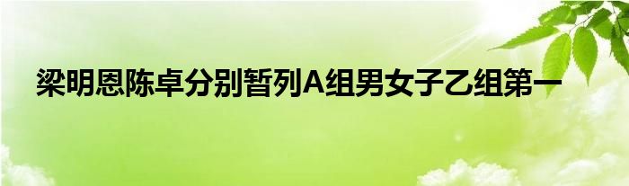 梁明恩陳卓分別暫列A組男女子乙組第一