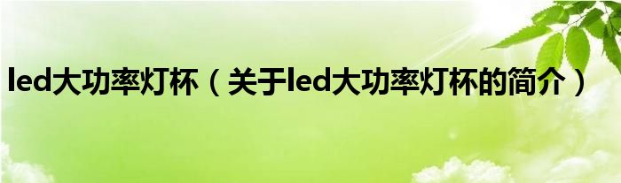 led大功率燈杯（關(guān)于led大功率燈杯的簡介）