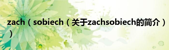 zach（sobiech（關(guān)于zachsobiech的簡介））