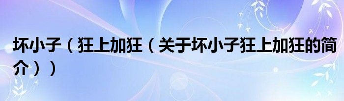 壞小子（狂上加狂（關(guān)于壞小子狂上加狂的簡(jiǎn)介））