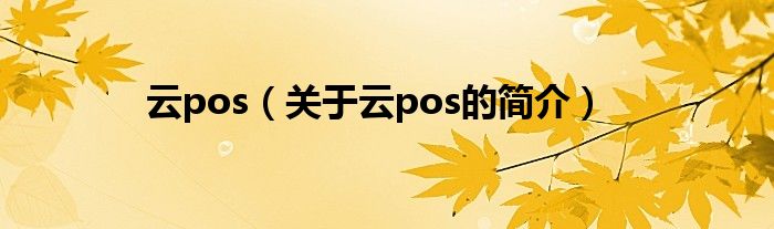 云pos（關(guān)于云pos的簡(jiǎn)介）