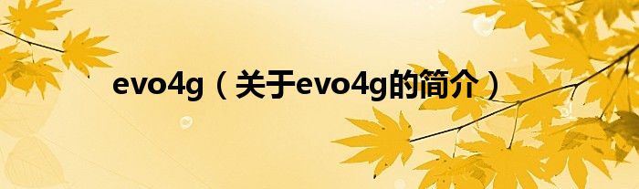 evo4g（關(guān)于evo4g的簡(jiǎn)介）