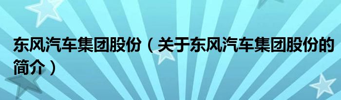 東風(fēng)汽車集團(tuán)股份（關(guān)于東風(fēng)汽車集團(tuán)股份的簡介）