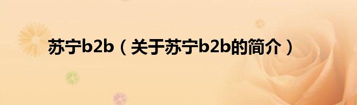 蘇寧b2b（關(guān)于蘇寧b2b的簡(jiǎn)介）