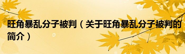 旺角暴亂分子被判（關(guān)于旺角暴亂分子被判的簡介）