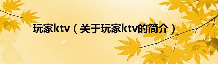 玩家ktv（關(guān)于玩家ktv的簡(jiǎn)介）