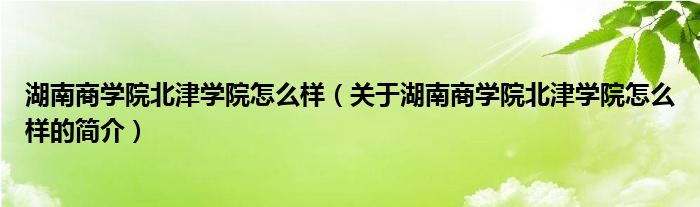 湖南商學院北津?qū)W院怎么樣（關于湖南商學院北津?qū)W院怎么樣的簡介）