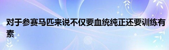 對于參賽馬匹來說不僅要血統(tǒng)純正還要訓練有素