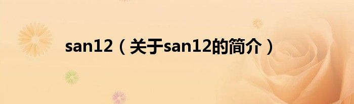 san12（關(guān)于san12的簡(jiǎn)介）