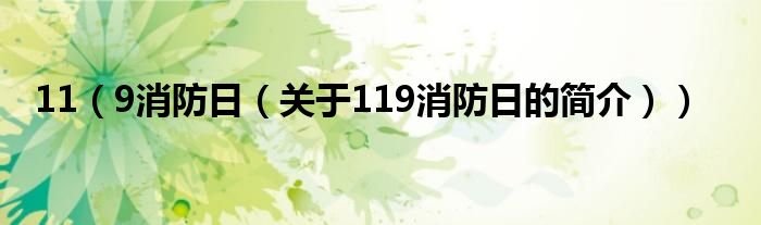 11（9消防日（關(guān)于119消防日的簡(jiǎn)介））