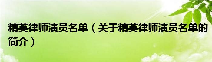 精英律師演員名單（關于精英律師演員名單的簡介）