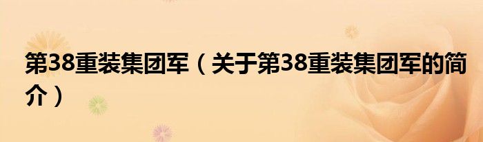 第38重裝集團(tuán)軍（關(guān)于第38重裝集團(tuán)軍的簡(jiǎn)介）